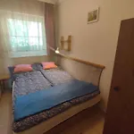 Apartment In 19919