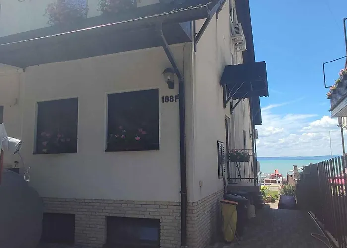 In 19919 שיופוק